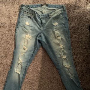 Torrid jeans